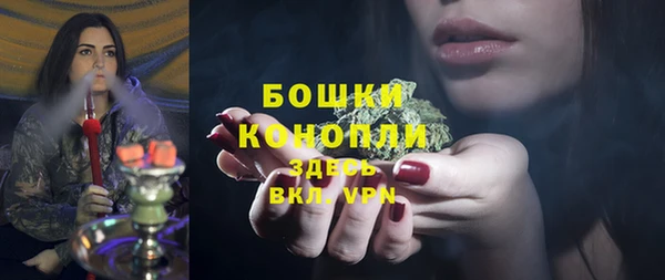 твердый Заводоуковск