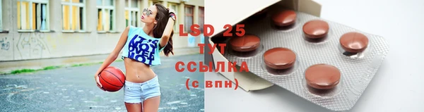 твердый Заводоуковск