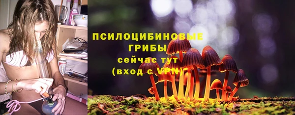 твердый Заводоуковск