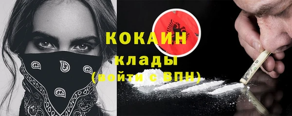 твердый Заводоуковск