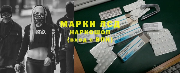 твердый Заводоуковск