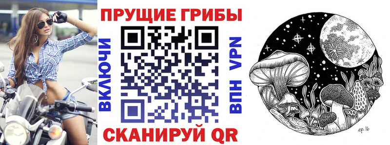 Галлюциногенные грибы ЛСД  Купить где  Саранск 